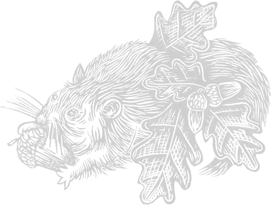 Section watermark